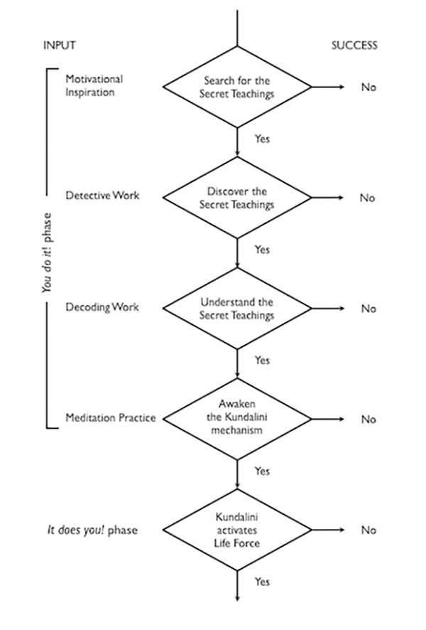 BFM-FlowChart600